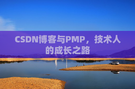 CSDN博客与PMP,技术人的成长之路